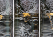2MAELSTROM